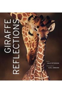 Giraffe Reflections