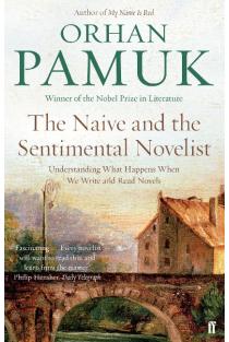 The Naive and the Sentimental Novelist: Understanding What Happens When We Write and Read Novels