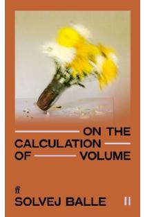 On the Calculation of Volume II