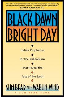Black Dawn, Bright Day: Indian Prophecies for the Millennium That Reveal the Fate of the Earth