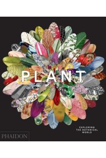 Plant: Exploring the Botanical World