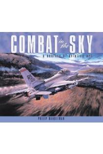 Combat in the Sky: The Art of Aerial Warfare