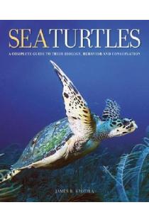 Sea Turtles: A Complete Guide to Their Biology, Behavior, and Conservation