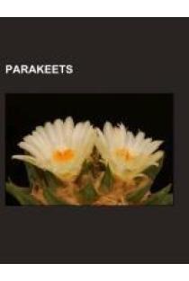 Parakeets