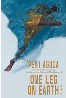 One Leg on Earth: A Novel