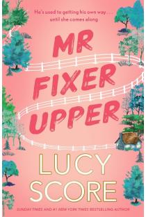 Mr Fixer Upper