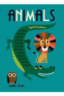 Animals: A stylish big picture book for all ages