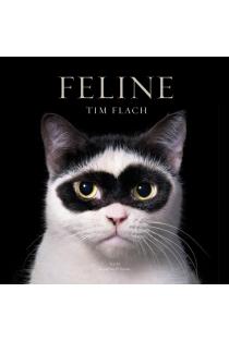 Feline: Photographs