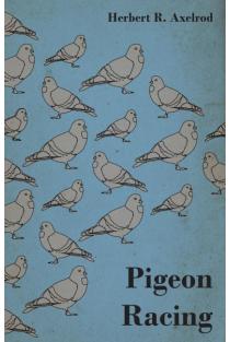 Pigeon Racing