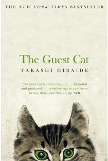 The Guest Cat