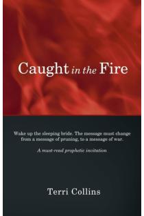 Caught in the Fire