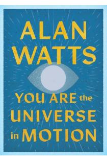 You Are the Universe in Motion