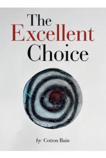 The Excellent Choice