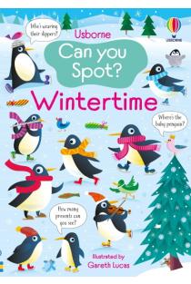 Can You Spot? Wintertime