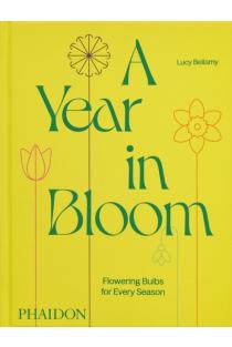 A Year in Bloom: Flowering Bulbs for Every Season