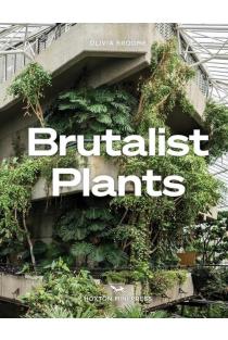 Brutalist Plants