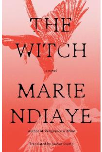The Witch: A Novel